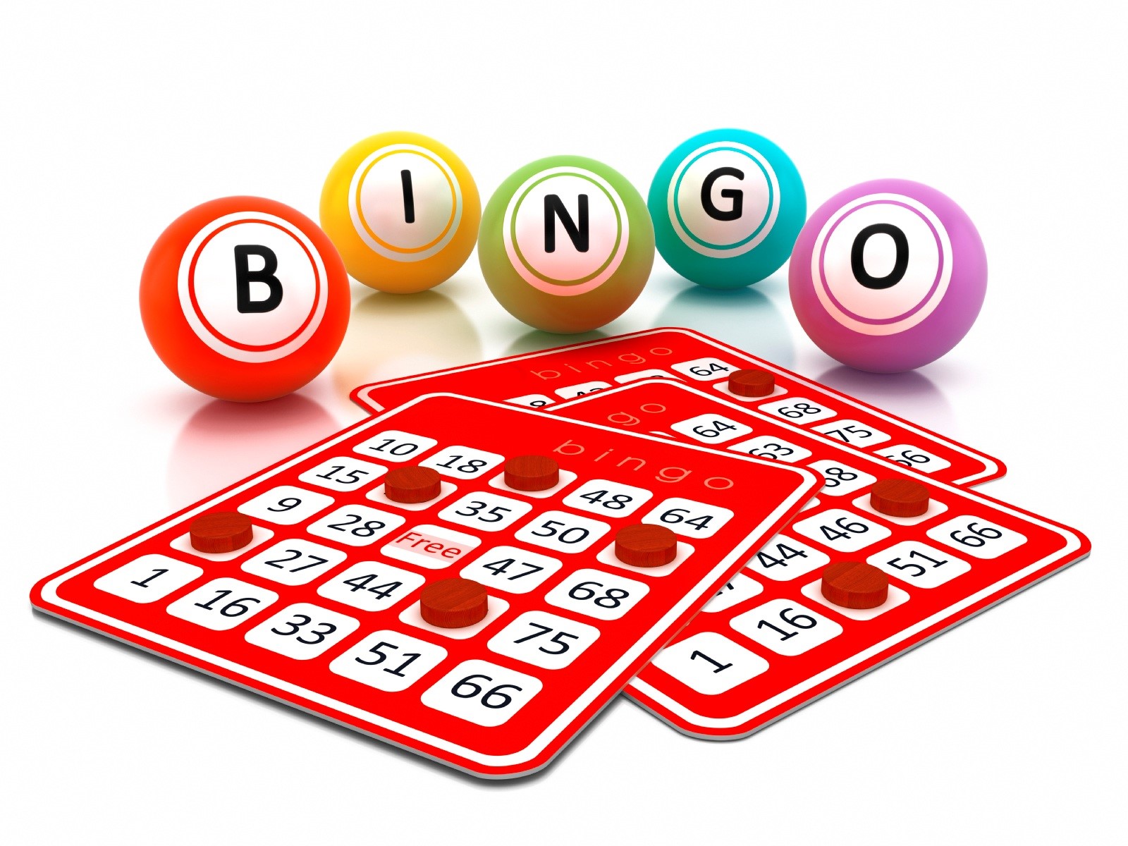 Charity Bingo Night